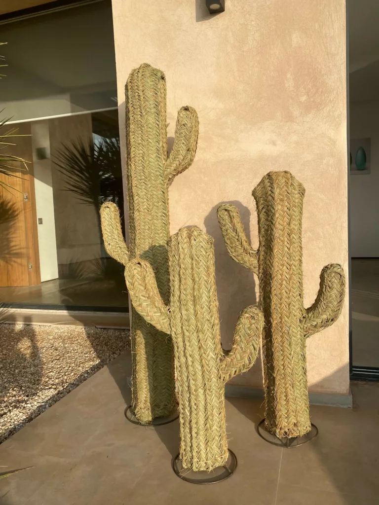 Cactus tressés en doum paille